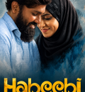 Habeebi (2026) (Hindi + Tamil) Dual Audio UnCut South Movie HD ESub